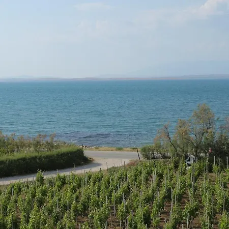 Family Friendly With A Swimming Pool Nin, Zadar - 6560 נין