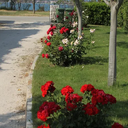 Apartamento Family-friendly With Swimming Pool Nin, Zadar - 6560