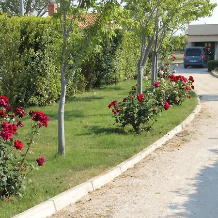 Family-friendly With Swimming Pool Nin, Zadar - 6560 Apartmán *