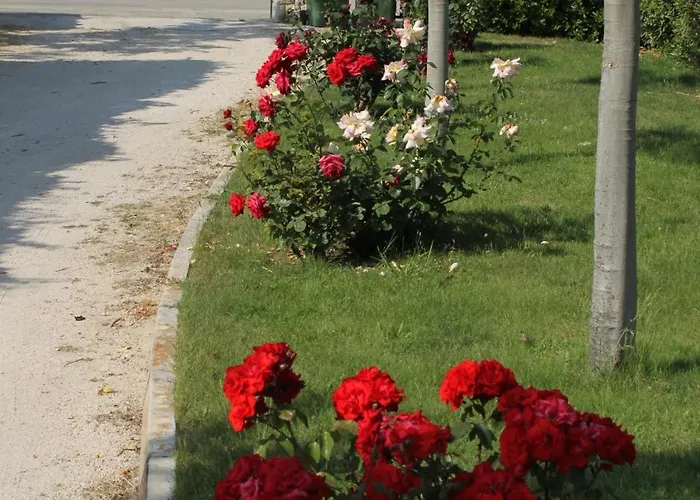 Apartmán Family-friendly With Swimming Pool Nin, Zadar - 6560